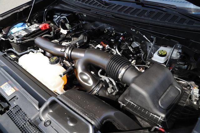 2025 Ford Expedition Active MAX